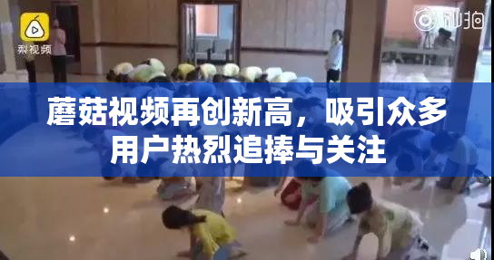 蘑菇视频再创新高，吸引众多用户热烈追捧与关注