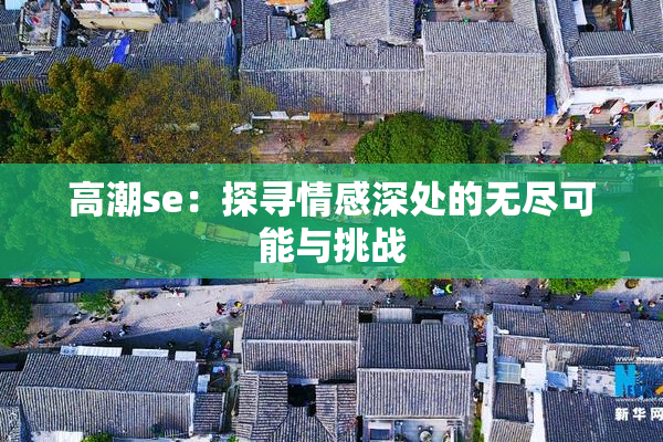 高潮se：探寻情感深处的无尽可能与挑战