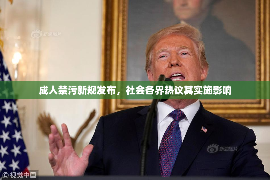 成人禁污新规发布，社会各界热议其实施影响