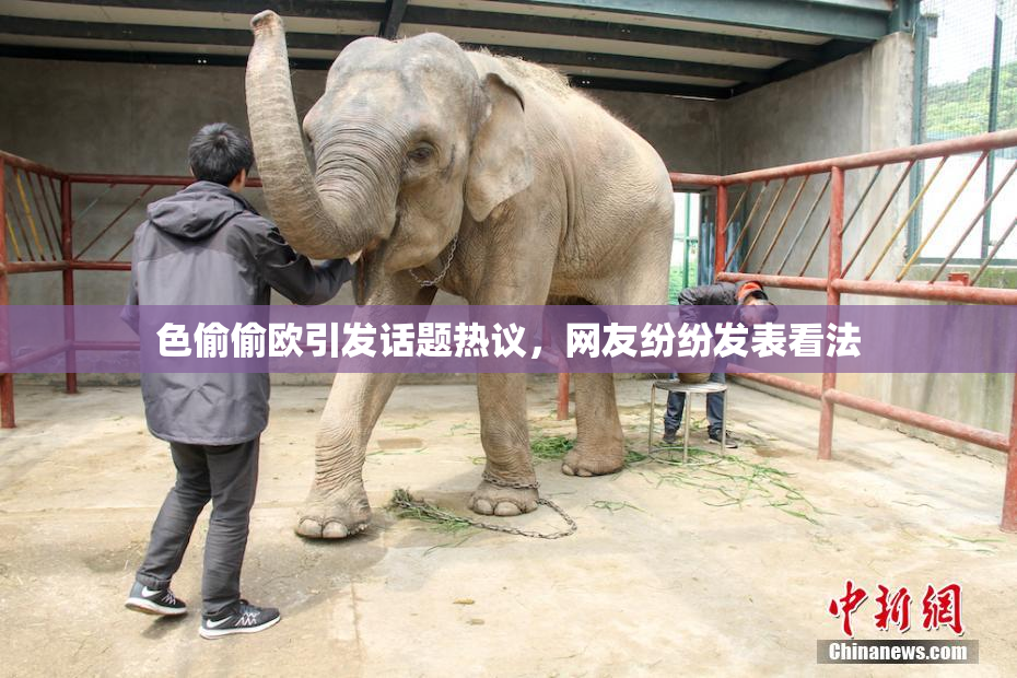 色偷偷欧引发话题热议，网友纷纷发表看法