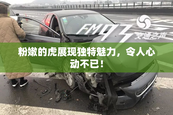 粉嫩的虎展现独特魅力，令人心动不已！