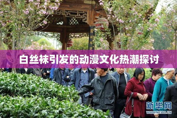 白丝袜引发的动漫文化热潮探讨