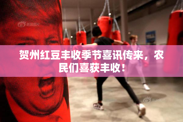 贺州红豆丰收季节喜讯传来，农民们喜获丰收！