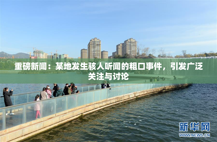 重磅新闻：某地发生骇人听闻的粗口事件，引发广泛关注与讨论