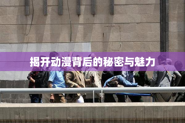 揭开动漫背后的秘密与魅力