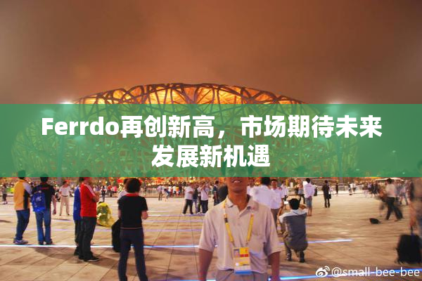 Ferrdo再创新高，市场期待未来发展新机遇