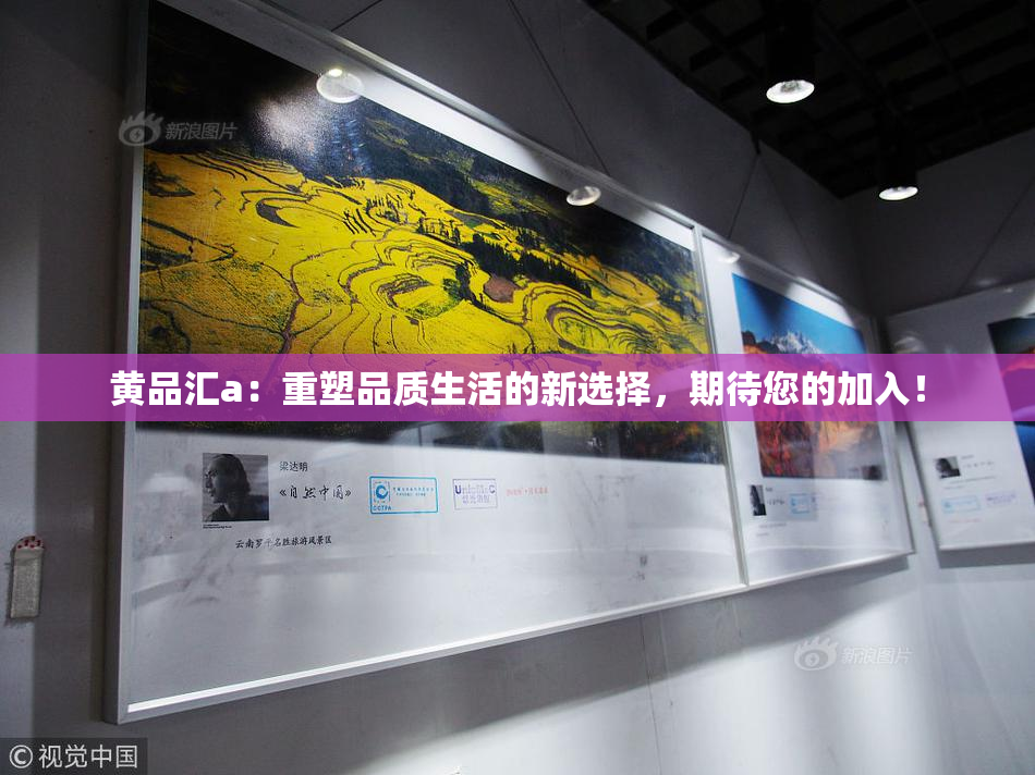 黄品汇a：重塑品质生活的新选择，期待您的加入！