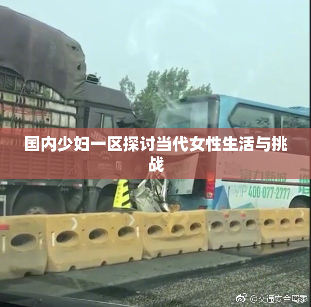国内少妇一区探讨当代女性生活与挑战