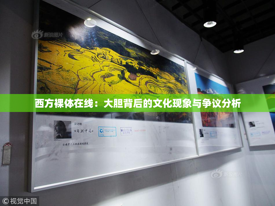 西方裸体在线：大胆背后的文化现象与争议分析