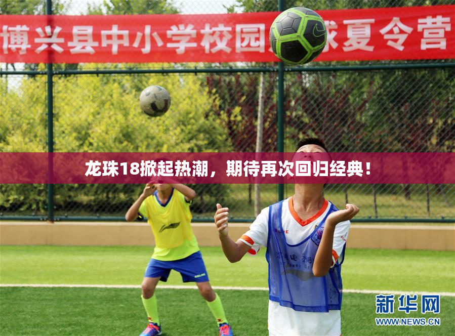 龙珠18掀起热潮，期待再次回归经典！