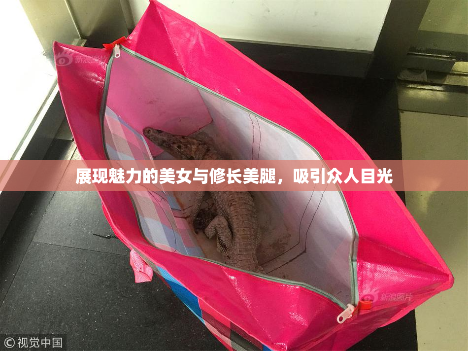 展现魅力的美女与修长美腿，吸引众人目光
