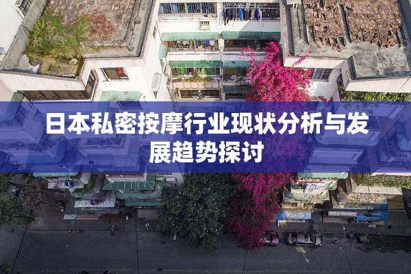 日本私密按摩行业现状分析与发展趋势探讨