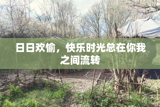 日日欢愉，快乐时光总在你我之间流转