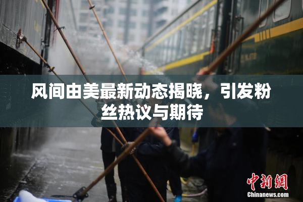 风间由美最新动态揭晓，引发粉丝热议与期待