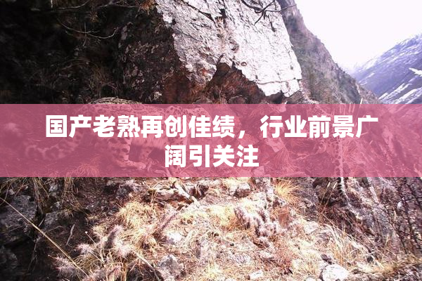 国产老熟再创佳绩，行业前景广阔引关注