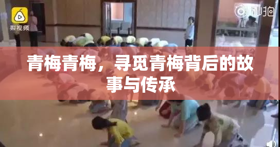 青梅青梅，寻觅青梅背后的故事与传承