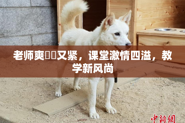 老师爽❌‌又紧，课堂激情四溢，教学新风尚
