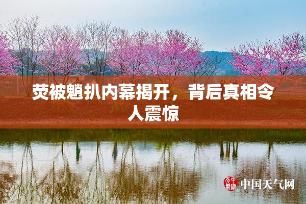 荧被魈扒内幕揭开，背后真相令人震惊