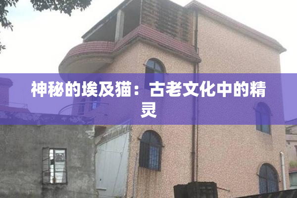 神秘的埃及猫：古老文化中的精灵