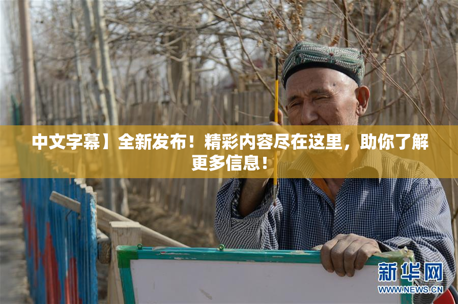 中文字幕】全新发布！精彩内容尽在这里，助你了解更多信息！