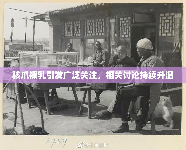 骇爪裸乳引发广泛关注，相关讨论持续升温