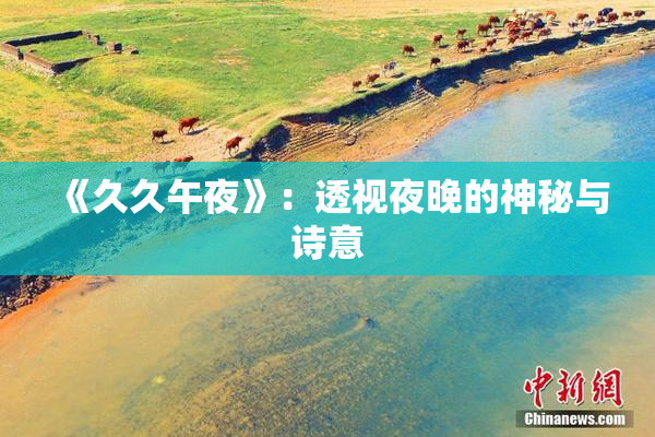 《久久午夜》：透视夜晚的神秘与诗意