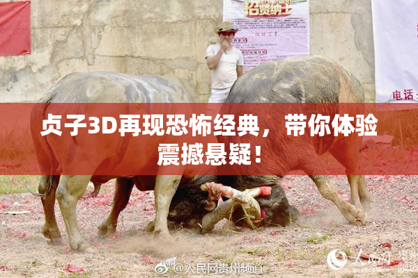 贞子3D再现恐怖经典，带你体验震撼悬疑！