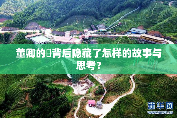 董卿的婬背后隐藏了怎样的故事与思考？