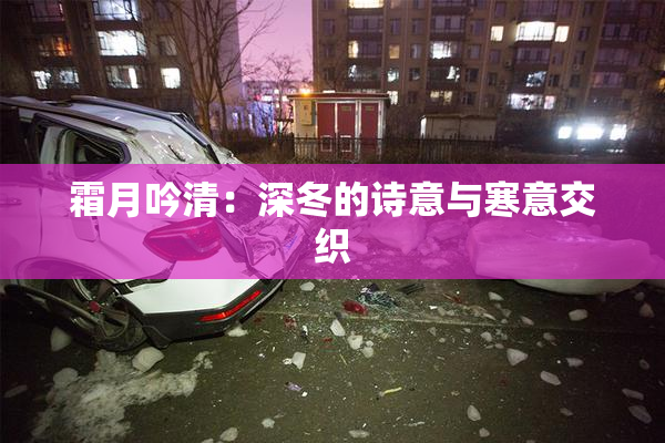 霜月吟清：深冬的诗意与寒意交织