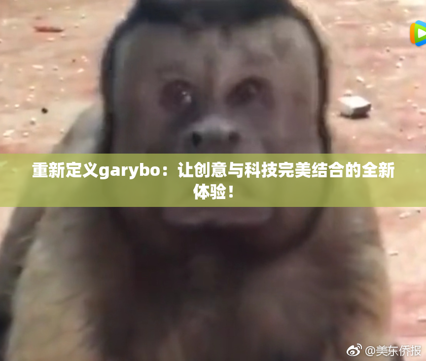 重新定义garybo：让创意与科技完美结合的全新体验！