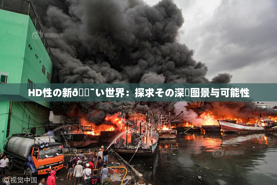 HD性の新🔯い世界：探求その深層图景与可能性