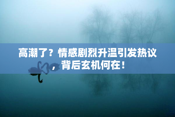 高潮了？情感剧烈升温引发热议，背后玄机何在！