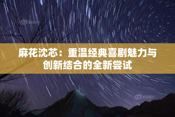 麻花沈芯：重温经典喜剧魅力与创新结合的全新尝试
