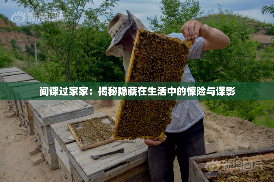 间谍过家家：揭秘隐藏在生活中的惊险与谍影