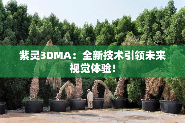 紫灵3DMA：全新技术引领未来视觉体验！
