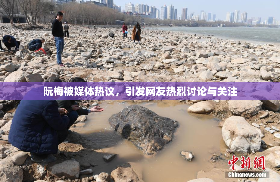 阮梅被媒体热议，引发网友热烈讨论与关注