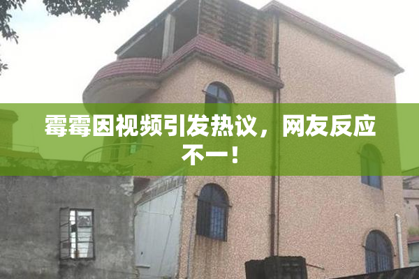 霉霉因视频引发热议，网友反应不一！