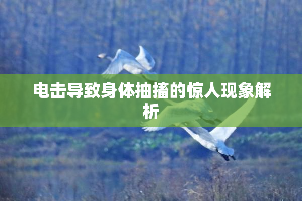 电击导致身体抽搐的惊人现象解析