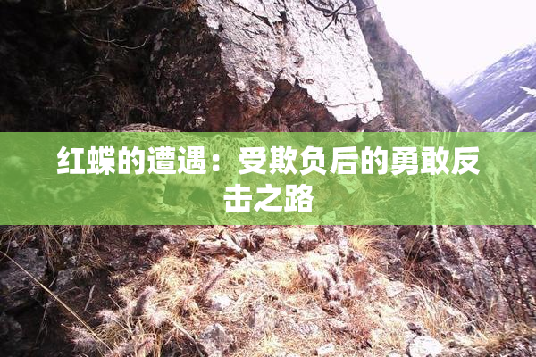 红蝶的遭遇：受欺负后的勇敢反击之路
