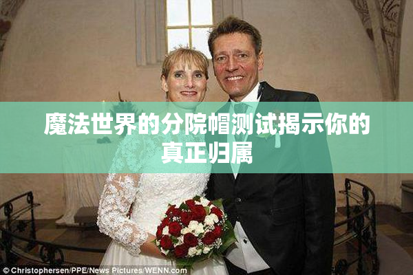 魔法世界的分院帽测试揭示你的真正归属