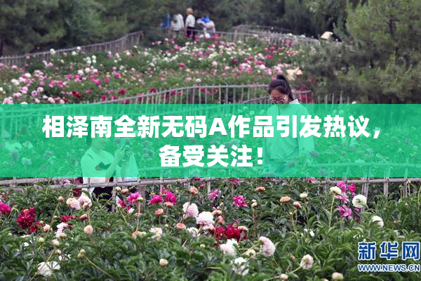 相泽南全新无码A作品引发热议，备受关注！