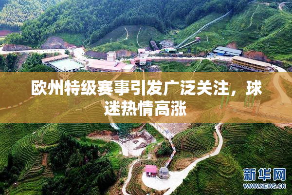 欧州特级赛事引发广泛关注，球迷热情高涨