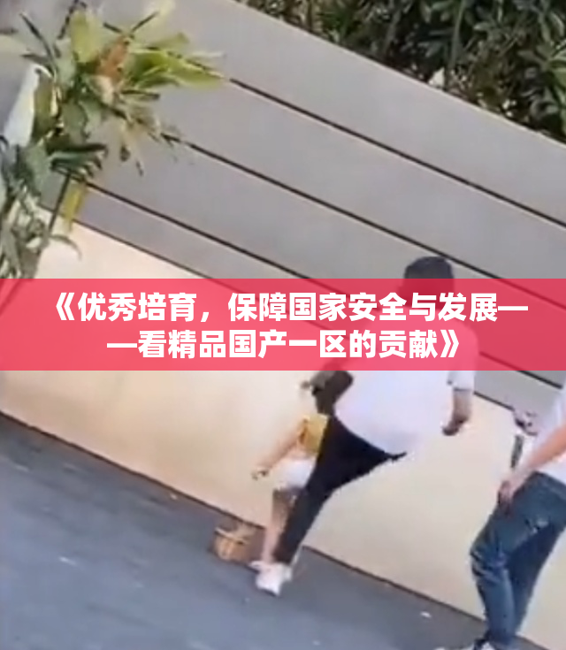 《优秀培育，保障国家安全与发展——看精品国产一区的贡献》