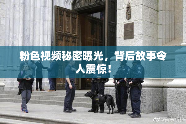 粉色视频秘密曝光，背后故事令人震惊！
