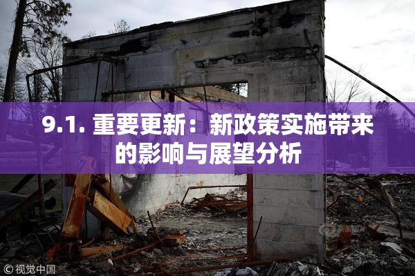 9.1. 重要更新：新政策实施带来的影响与展望分析