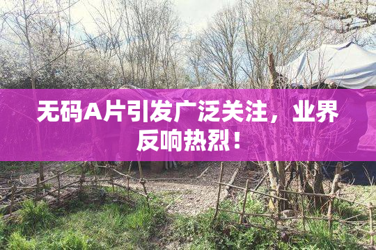 无码A片引发广泛关注，业界反响热烈！