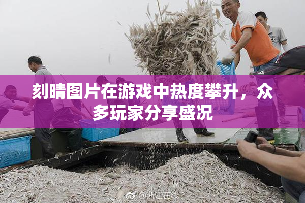 刻晴图片在游戏中热度攀升，众多玩家分享盛况