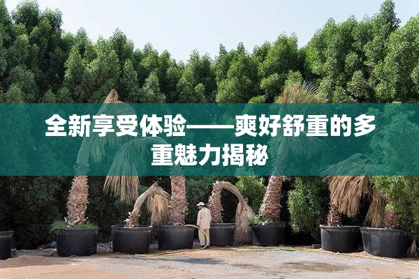 全新享受体验——爽好舒重的多重魅力揭秘