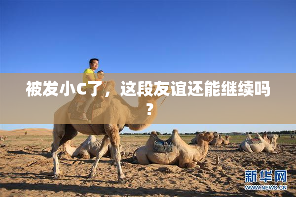 被发小C了，这段友谊还能继续吗？