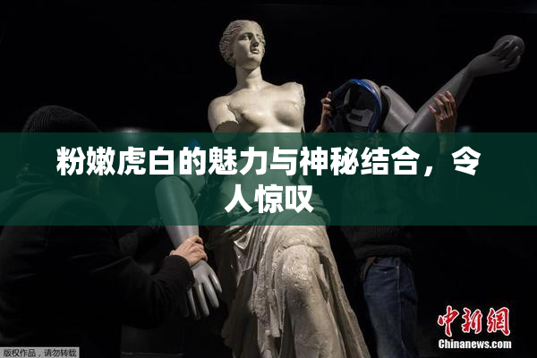粉嫩虎白的魅力与神秘结合，令人惊叹